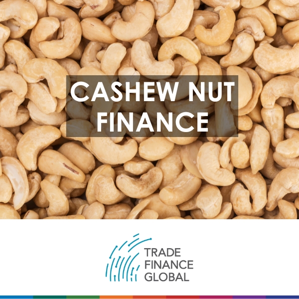 Cashew Nut Finance