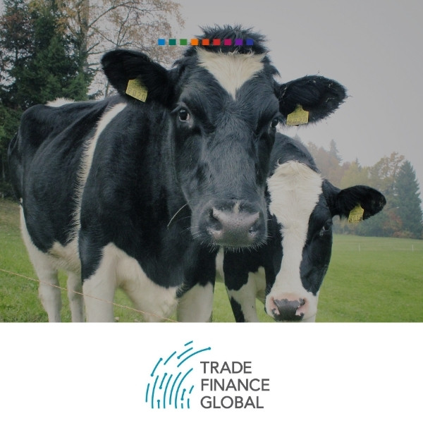 Milk, Cream & Dairy Trade Finance 2021